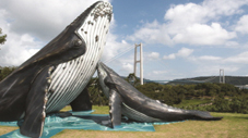 長生浦クジラの文化の町