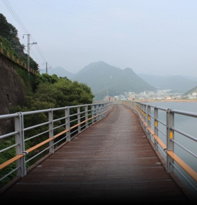 Nakdong River Bicycle path